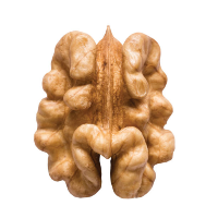 Walnut Kernels